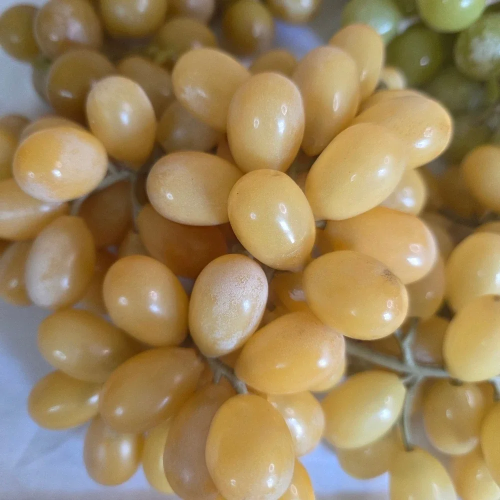 Vintage MCM Lucite Acrylic Grape Clusters Amber Yellow Green Set of 4 Decor
